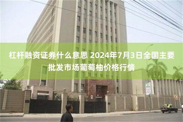 杠杆融资证券什么意思 2024年7月3日全国主要批发市场葡萄柚价格行情