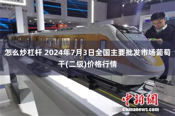 怎么炒杠杆 2024年7月3日全国主要批发市场葡萄干(二级)价格行情