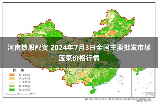 河南炒股配资 2024年7月3日全国主要批发市场菠菜价格行情