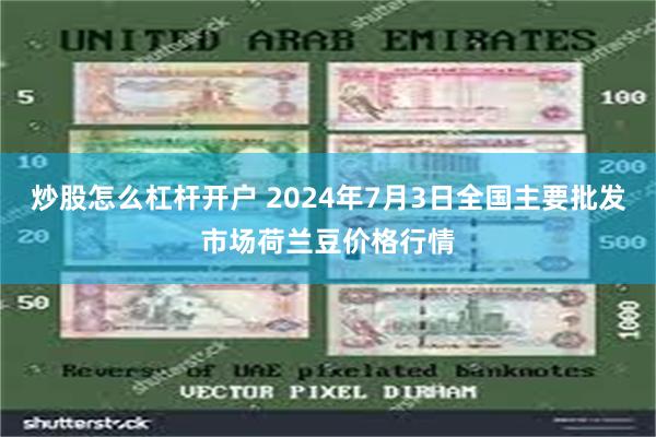 炒股怎么杠杆开户 2024年7月3日全国主要批发市场荷兰豆价格行情