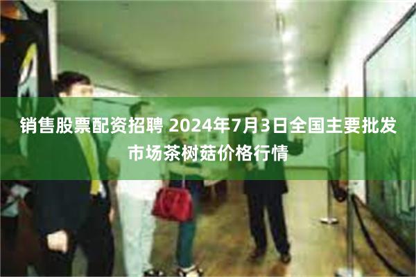 销售股票配资招聘 2024年7月3日全国主要批发市场茶树菇价格行情