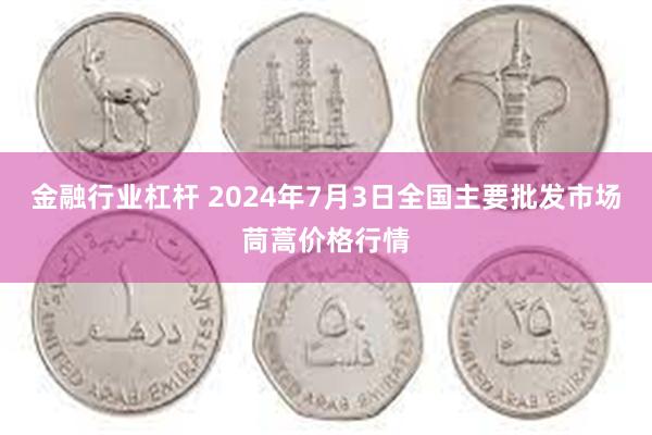 金融行业杠杆 2024年7月3日全国主要批发市场茼蒿价格行情