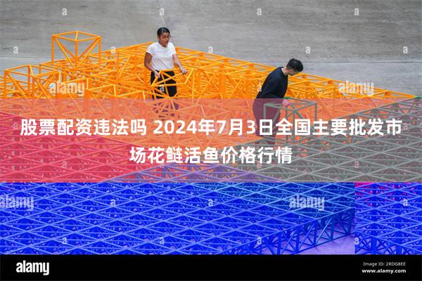 股票配资违法吗 2024年7月3日全国主要批发市场花鲢活鱼价格行情