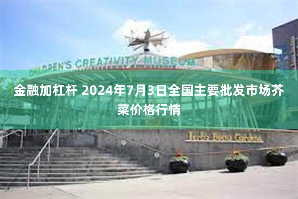 金融加杠杆 2024年7月3日全国主要批发市场芥菜价格行情