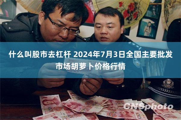 什么叫股市去杠杆 2024年7月3日全国主要批发市场胡萝卜价格行情