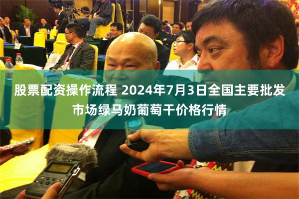 股票配资操作流程 2024年7月3日全国主要批发市场绿马奶葡萄干价格行情