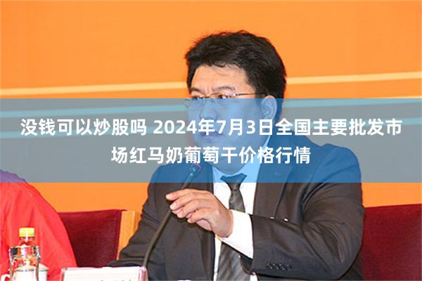 没钱可以炒股吗 2024年7月3日全国主要批发市场红马奶葡萄干价格行情