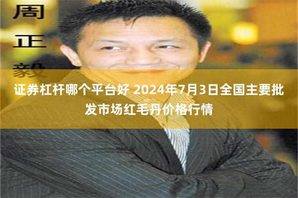 证券杠杆哪个平台好 2024年7月3日全国主要批发市场红毛丹价格行情