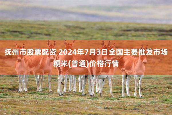 抚州市股票配资 2024年7月3日全国主要批发市场粳米(普通)价格行情