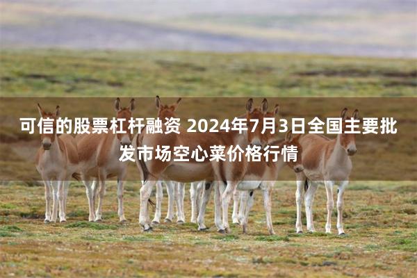 可信的股票杠杆融资 2024年7月3日全国主要批发市场空心菜价格行情