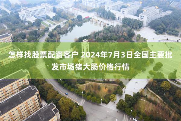 怎样找股票配资客户 2024年7月3日全国主要批发市场猪大肠价格行情