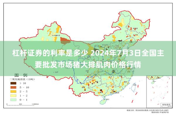 杠杆证券的利率是多少 2024年7月3日全国主要批发市场猪大排肌肉价格行情