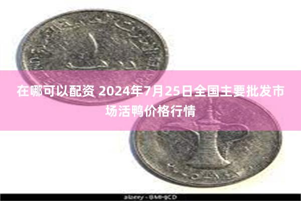 在哪可以配资 2024年7月25日全国主要批发市场活鸭价格行情