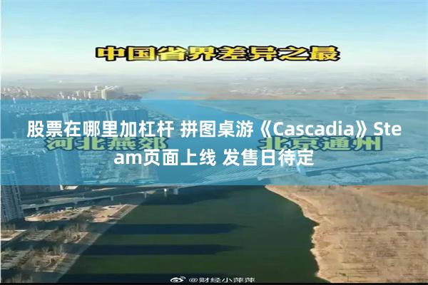 股票在哪里加杠杆 拼图桌游《Cascadia》Steam页面上线 发售日待定