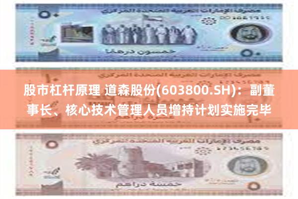 股市杠杆原理 道森股份(603800.SH)：副董事长、核心技术管理人员增持计划实施完毕