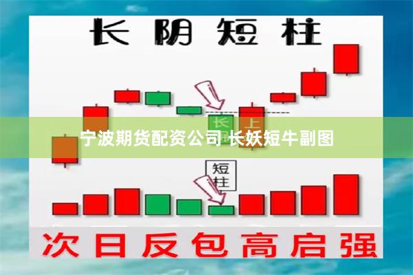 宁波期货配资公司 长妖短牛副图