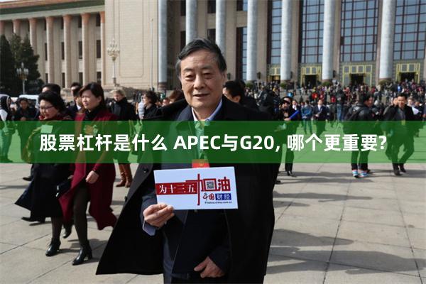 股票杠杆是什么 APEC与G20, 哪个更重要?