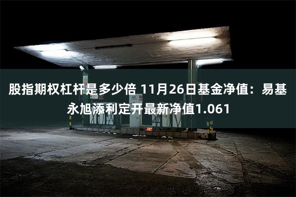 股指期权杠杆是多少倍 11月26日基金净值：易基永旭添利定开最新净值1.061