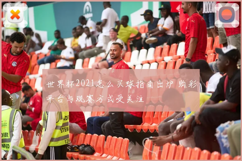 世界杯2021怎么买球指南出炉 购彩平台与观赛方式受关注
