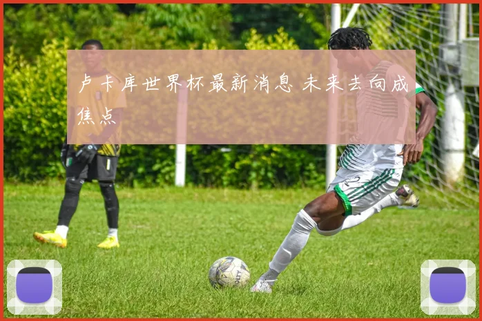 卢卡库世界杯最新消息 未来去向成焦点