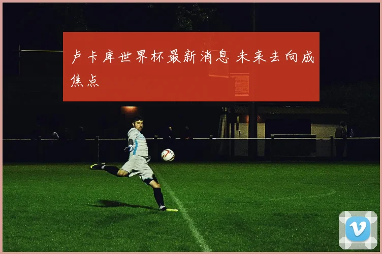 卢卡库世界杯最新消息 未来去向成焦点