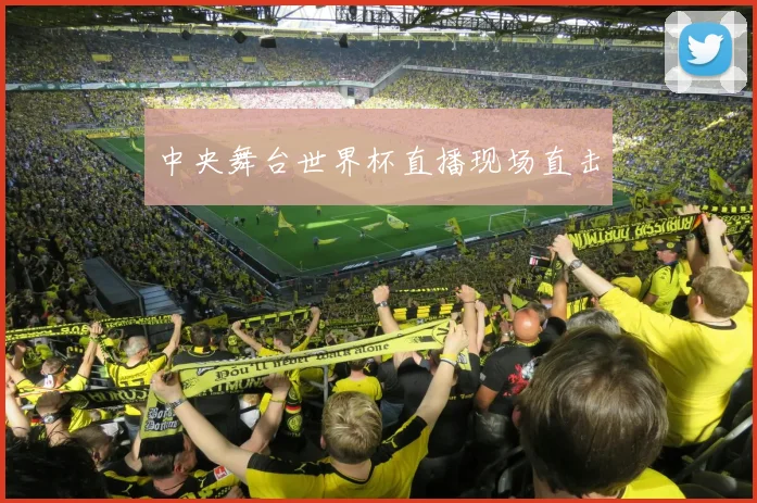 中央舞台世界杯直播现场直击