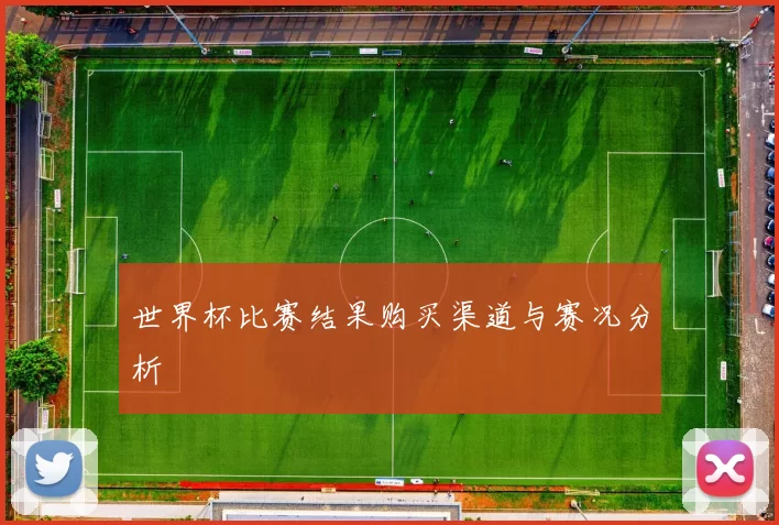 世界杯比赛结果购买渠道与赛况分析