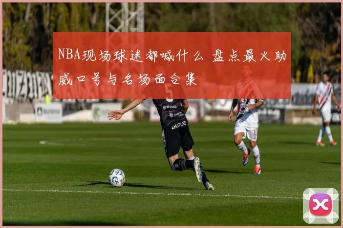 NBA现场球迷都喊什么 盘点最火助威口号与名场面合集