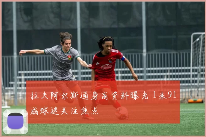 拉夫阿尔斯通身高资料曝光 1米91成球迷关注焦点
