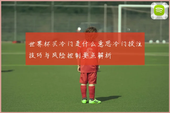 世界杯买冷门是什么意思冷门投注技巧与风险控制要点解析