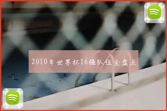 2010年世界杯16强队伍全盘点