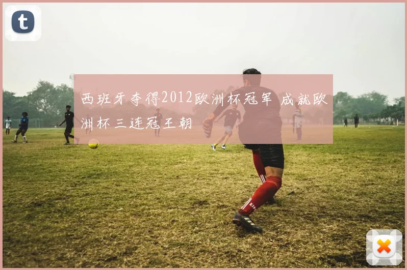 西班牙夺得2012欧洲杯冠军 成就欧洲杯三连冠王朝